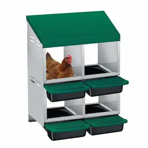 Double Layer Green Chicken Nesting Box with Roll Away Collection & Plastic Handle, Wall/Freestanding for Chicken Coop, 2x2-Compartment