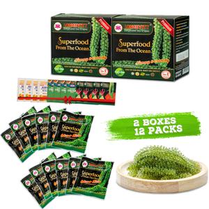 2 BOXES Longevity Dehydrated Sea Grapes - COMBO 2 BOXES 12 Packs Green Caviar Umibudo Latok Seaweed Organic Premium Quality Crunchy Flavor Superfood From The Ocean