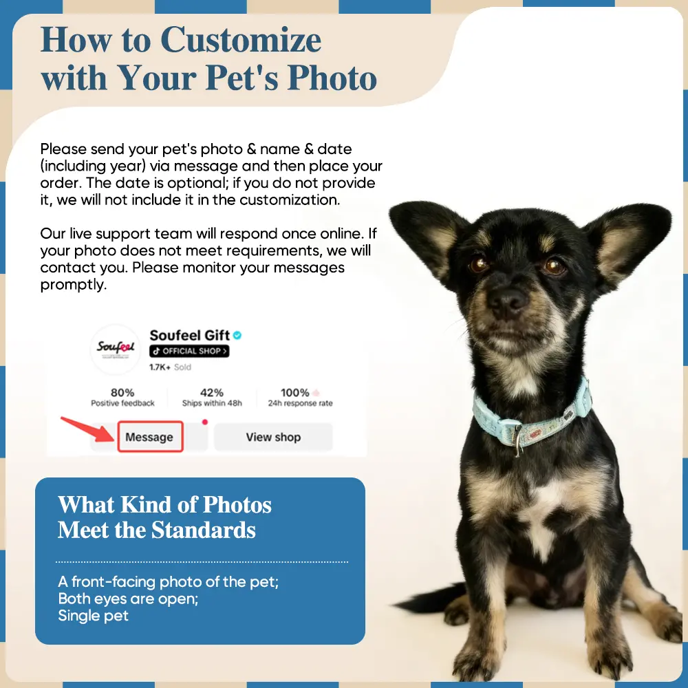 40s Video(With Feeding and Petting Scenes)