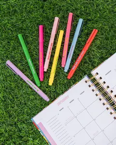 Write On Felt Tip Pen Set - Assorted