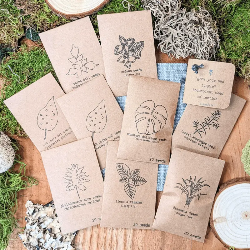 pothos seeds - TikTok Shop