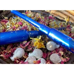 3 Yoni Detox Pearls and Applicator