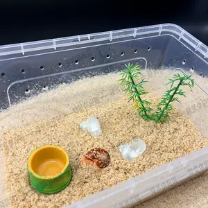 Hermit Crab Bamboo-Themed Kit: 2x Iridescent Replacement Shells + Bamboo Water Bowl + Faux Bamboo Plant| Reptile Habitat Decor（Acrylic case not included）