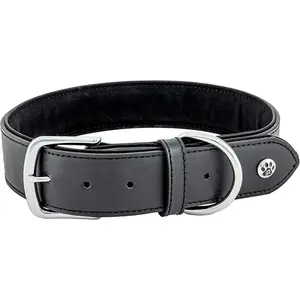 Trisha Yearwood Pet Collection Padded Cute Dog Collar, Leather Dog Collar for Small Dogs, Black, Medium Axis Product Group