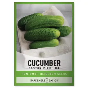 Boston Pickling Cucumber Seeds