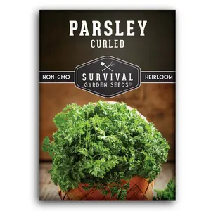 Curled Parsley Seed - Delicious Herb for Cooking