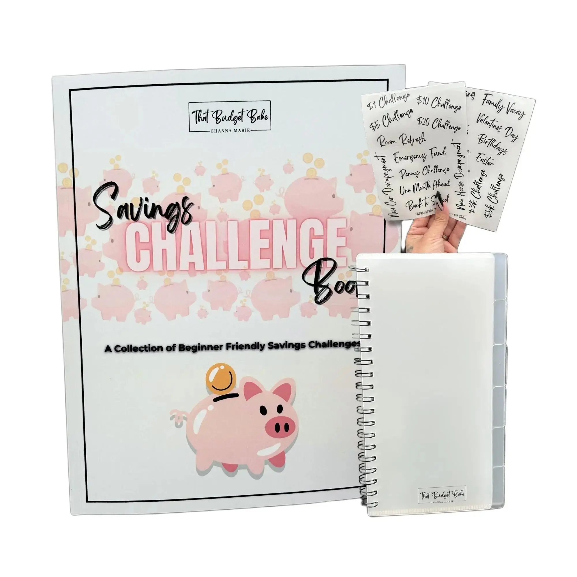Savings Challenge Bundle - Book with 40 Challenges, Journal Prompts, and Motivational Quotes plus Cash Envelope Book with Labels and Sticker Sheets