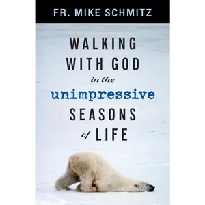 USED-Walking with God in the Unimpressive Seasons of Life by Schmitz, Mike (Paperback)