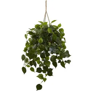 Nearly Natural Philodendron Hanging Basket
