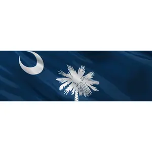 South Carolina Brady List