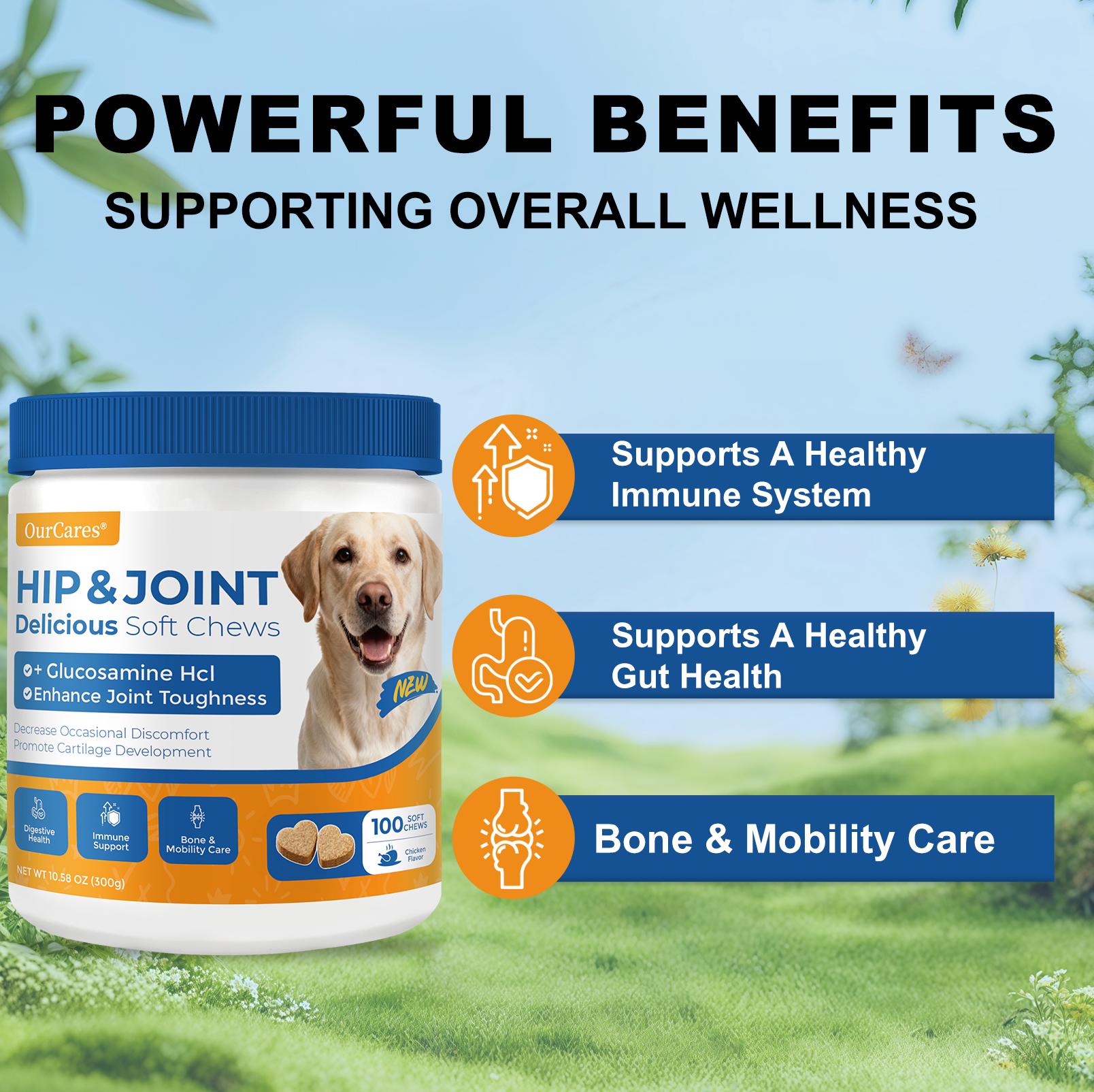 OurCares Generation 2 Hip and Joint for Dogs Glucosamine for Dogs Hip and Joint Supplement with Chondroitin MSM Vitamins C & E - Chicken Flavor 100 Soft Chews Pet Daily Chews Snacks OurCares Generation 2 Hip and Joint for Dogs Glucosamine for Dogs Hip and Joint Supplement with Chondroitin MSM Vitamins C & E - Chicken Flavor 100 Soft Chews Pet Daily Chews Snacks