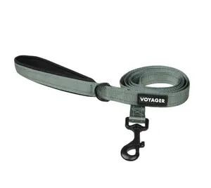 Voyager Reflective Dog Leash with Neoprene Handle 5ft - Heavy Duty Nylon Leash for Small Medium Large Dogs, Puppies - Walking Running Training, Comfortable Grip, Multiple Colors by Best Pet Supplies