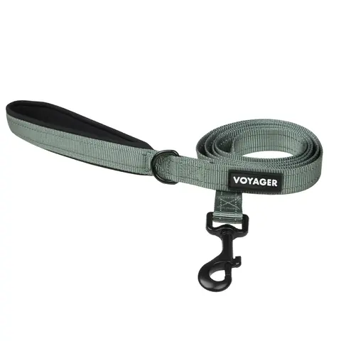 Voyager Reflective Dog Leash with Neoprene Handle 5ft - Heavy Duty Nylon Leash for Small Medium Large Dogs, Puppies - Walking Running Training, Comfortable Grip, Multiple Colors by Best Pet Supplies