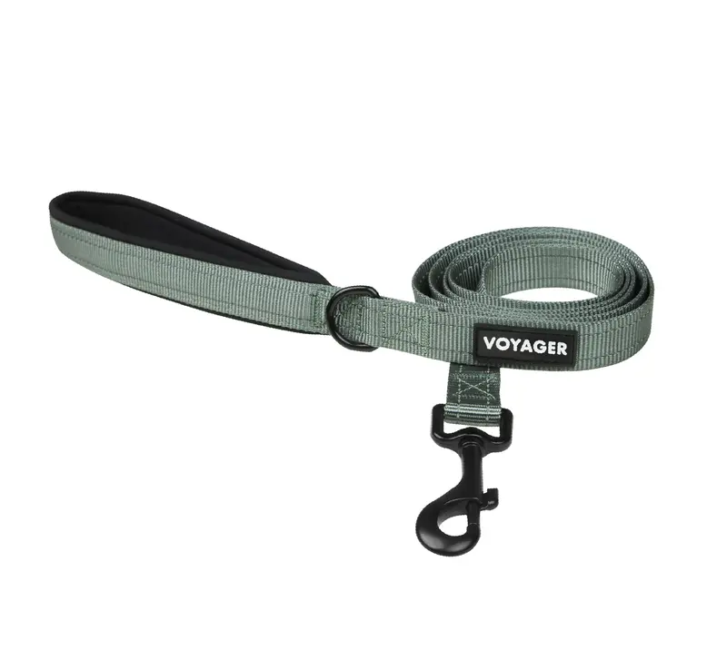 all-in-one dog collar and leash Ray Collar + Leash Set | Italian Leather & Rayon Silk Rope | Original Design | Dark Jade Green