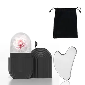 Facial Ice Roller & Gua Sha Tool Set, Reduces Puffiness, Reusable Leak-Proof Bag Storage, Ideal for Face & Eye Care, Facial Care Tools, Facial Beauty Instrument