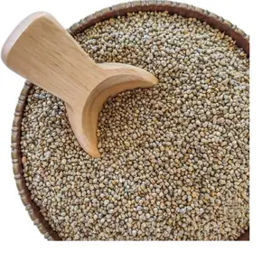 High-Quality Millet Seed - Non-GMO, 1.5lb