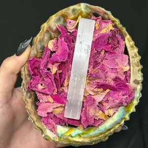 Abalone Shell Bundles | Selenite & Dried Herbs
