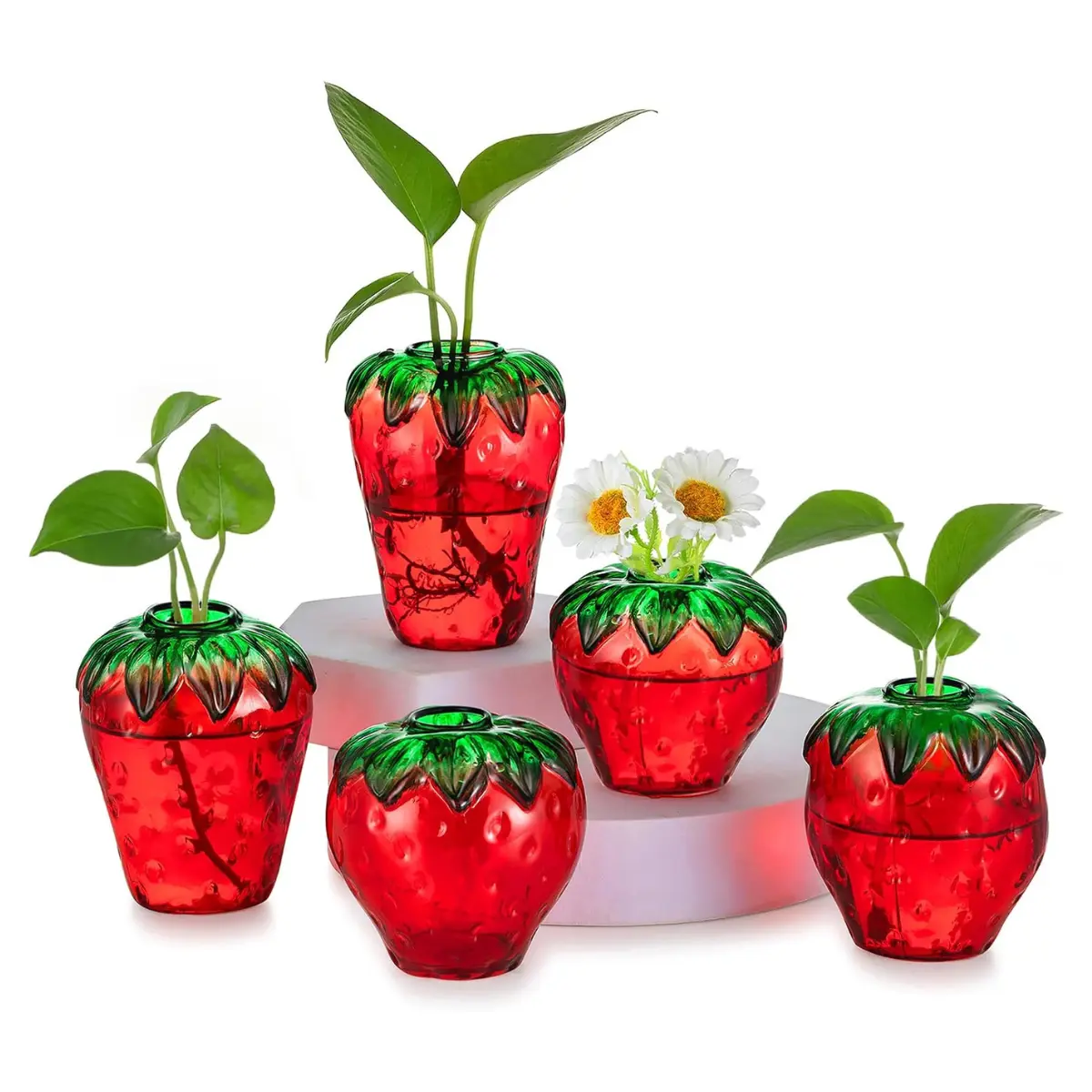 5PCS Strawberry Glass Propagation Vases Indoor Hydroponic Plant Planters