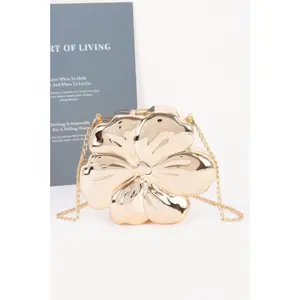 Metallic Acrylic Clutch