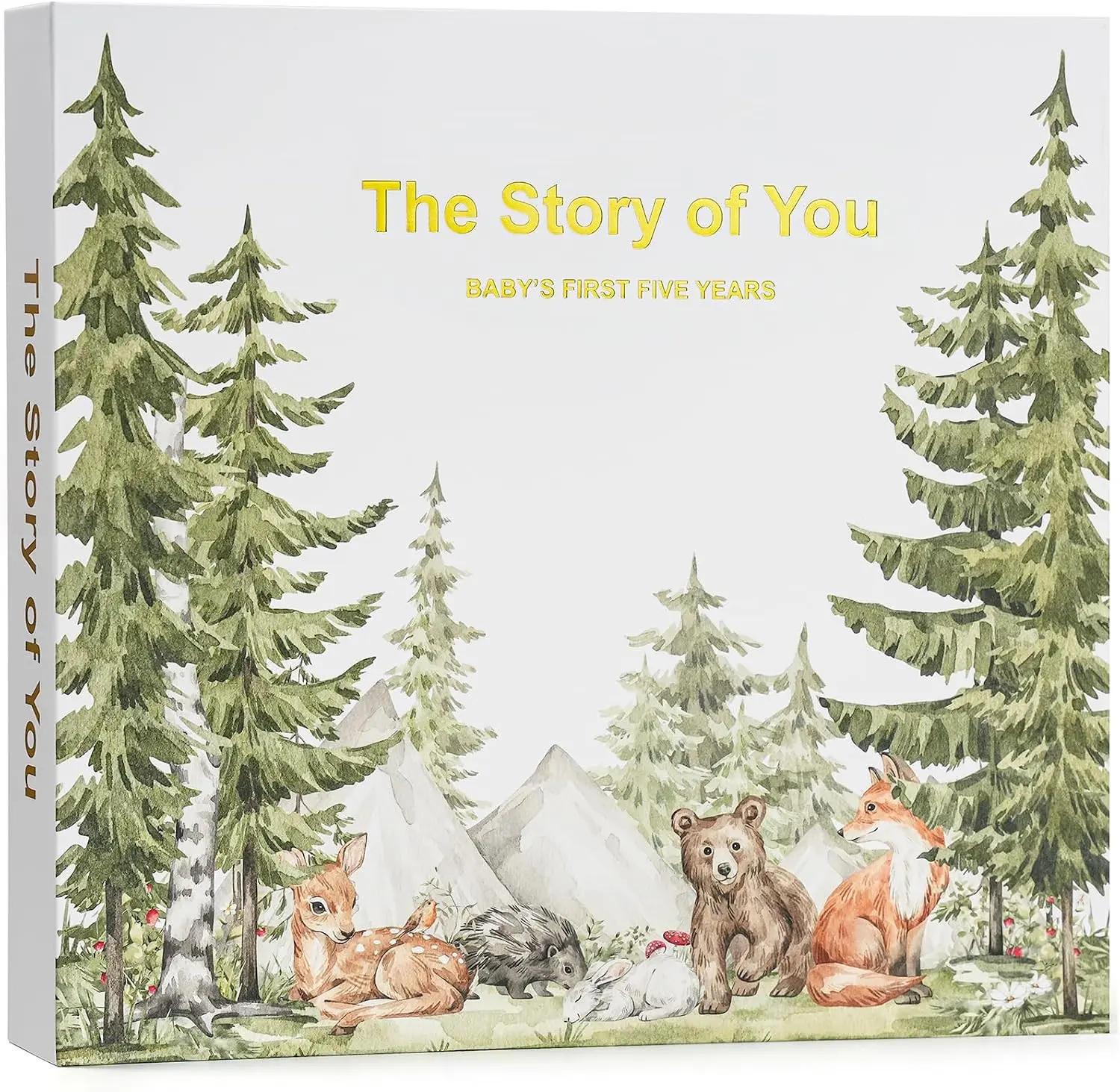 Baby Memory Book for First Five Years, Newborn Keepsake Journal,  Baby shower gift