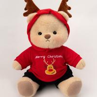 Brown Bear With Outfit