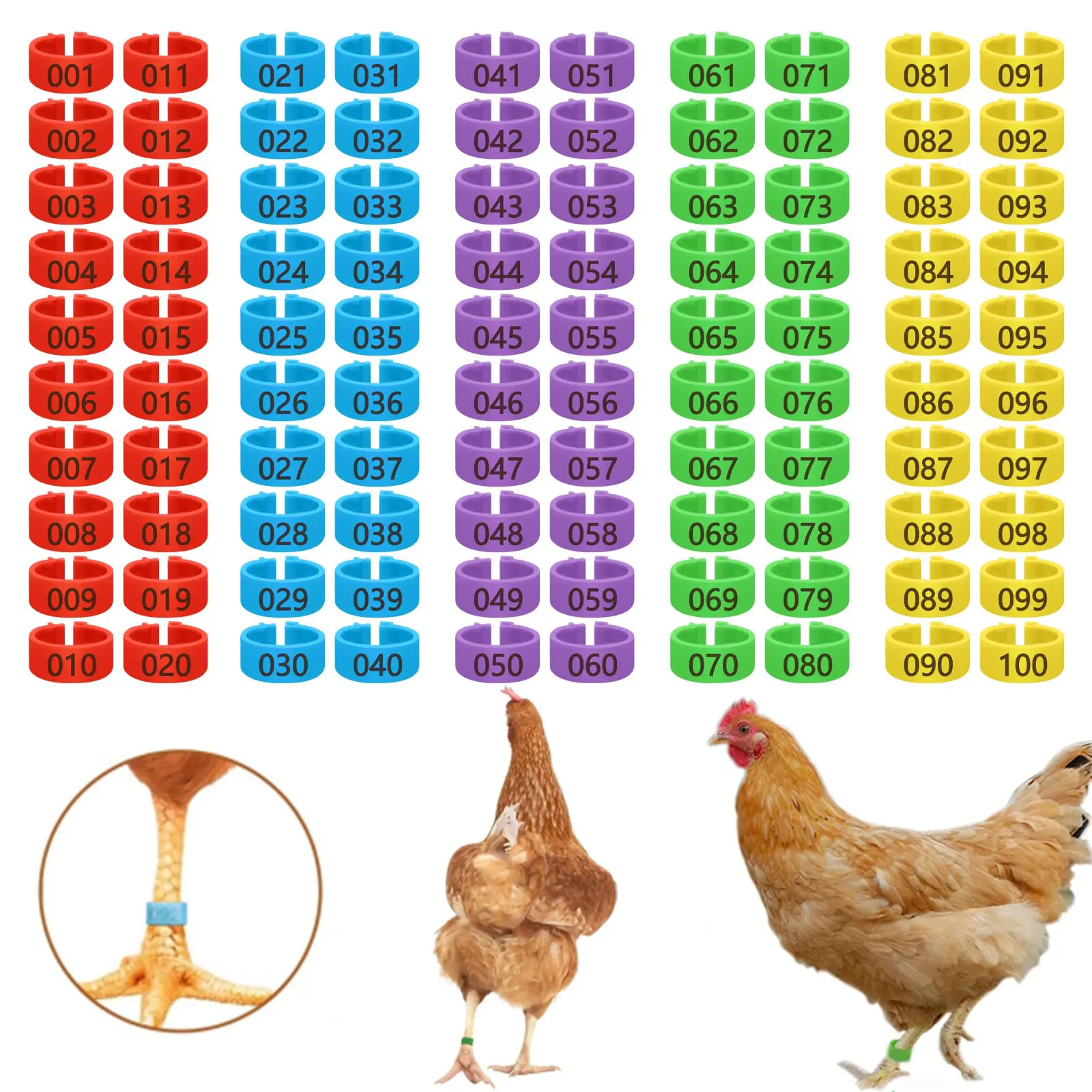 100 Pcs Chicken Leg Tags, 0.62 Inch Colorful Numbered Chicken Bands for Legs(for 1.1 To 5.5 Pounds), Durable Poultry Leg Bands Clip on Leg Rings for Ducks Chicks Pigeons Goose