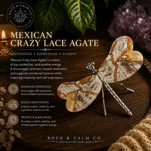 Crystal Dragonfly - Mexican Crazy Lace Agate