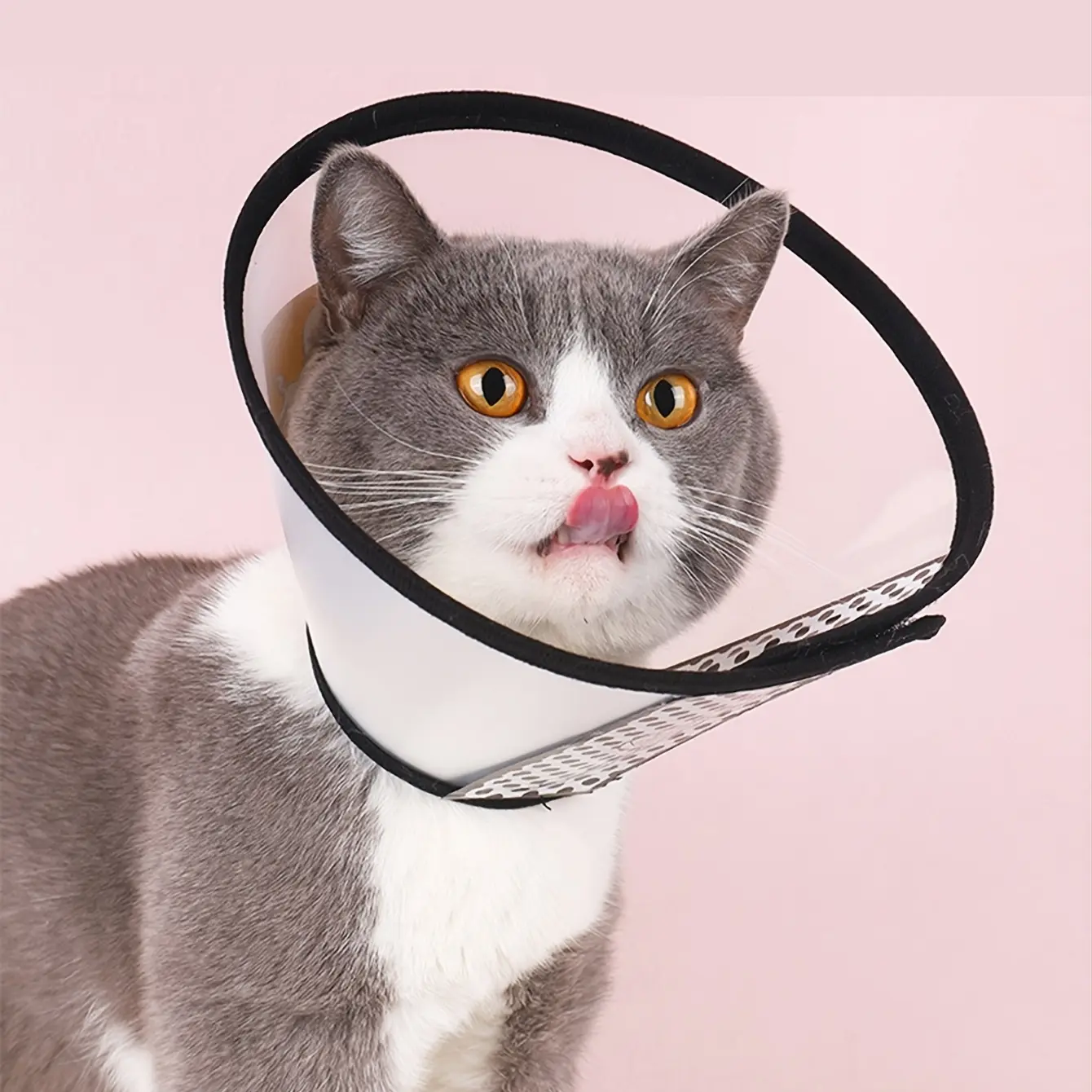 Adjustable Soft Elizabethan Collar for Pets, 6 Sizes, Anti-Scratch & Bite Protection, Comfortable Recovery Healing Cone Design