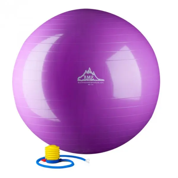 Black Mountain Products 65cm Exercise Ball with Dense Wall, Professional-Grade Anti-Burst Stability Ball for Core Workouts and Balance, 2000 lbs Rated, Purple, Unisex