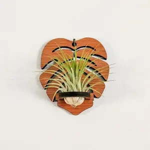 Monstera Leaf Air Plant Holder - Wall Hanger Display