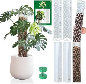 16 Inch 6 count Plastic Moss Pole for  Monstera,Stackable D Shape Moss Pole for Indoor Climbing  with 2 count Garden Ties Work with Sphagnum Moss