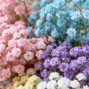 100 Baby’s Breath Seeds – Delicate White Blooms for Bouquets, Pots, and Garden Borders – Easy Annual Flowers (Seeds Only, Not Live Plants)