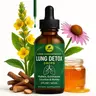 Summervibes Mullein Liquid Lung Detox Drops - All Natural Botanical Supplement with Natural Ingredients, Lung Care, Respiratory Health Support, Immune Boost, Phlegm Relief, Easier Breathing, Prop 65 Safe