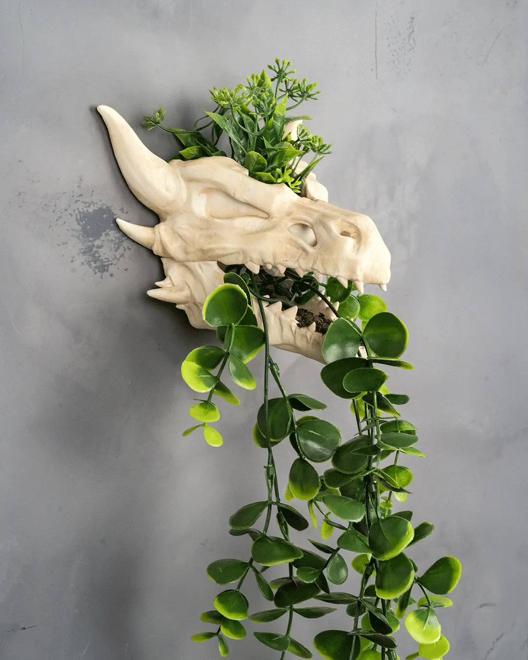 Drip & Decay Dragon Skull Wall Planter – Gothic Fantasy Hanging Pot | 3D Printed Skull Wall Décor (2 Sizes)