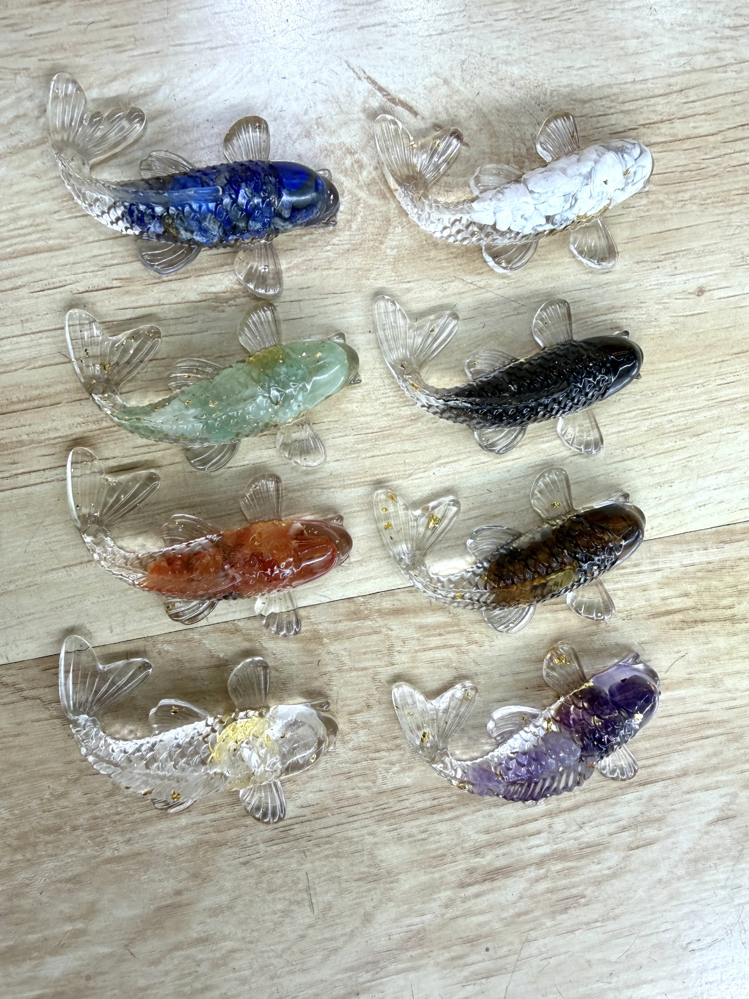 Mia(8517)gc.Cute fish
