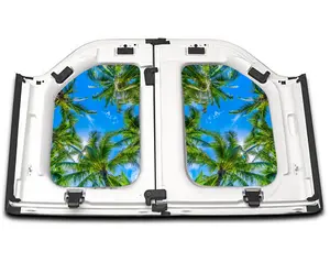 Palm Tree Tops