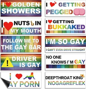 10 Pcs Magnetic Bumper Decals Funny LGBT Car Decals Rainbow Bumper Stickers Prank Car Stickers Colorful Car Accessories for Truck Vehicle Luggage Window Refrigerator(Magnetic,Classic Style)