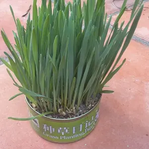 review image 7