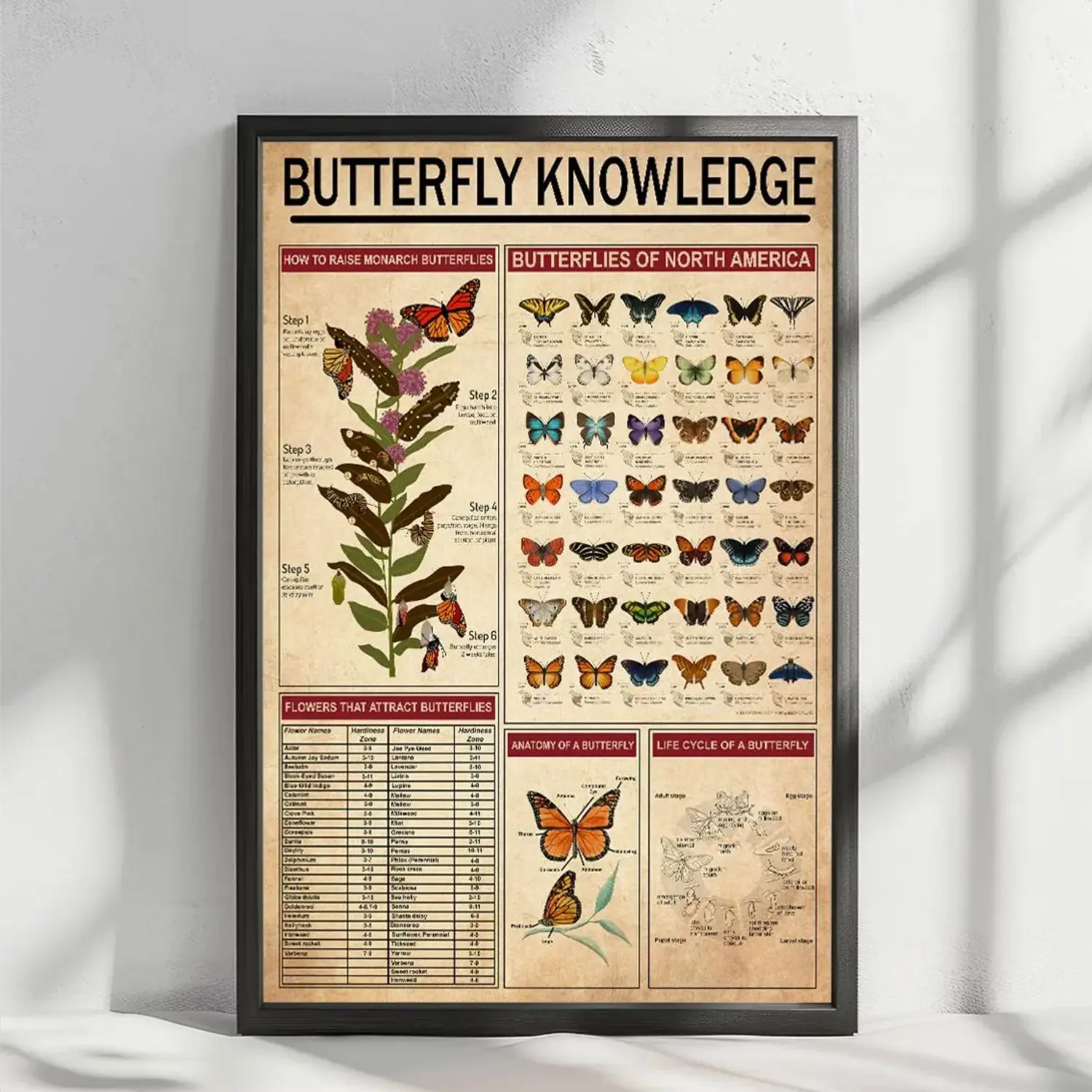 Butterfly Knowledge Poster, Butterflies Lover Gift, Butterfly Print, Butterfly Wall Art, Butterfly Decor, Butterfly Wall Hanging