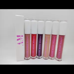 High Pigment Long Lasting Liquid Lipstick for Makeup and Cosmetics