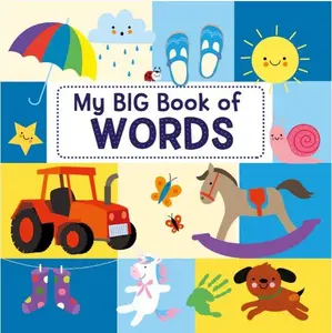 MY BIG BOOK OF WORDS Paperback Picture Book