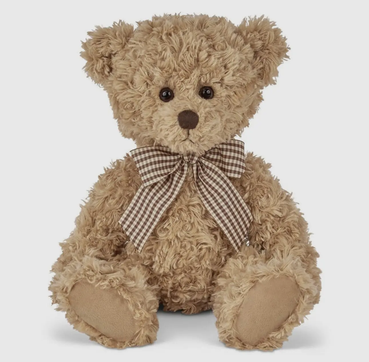 Theodore The Teddy Bear