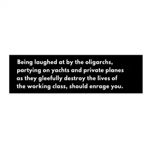 Oligarchy Bumper Sticker, Anti Trump Bumper Sticker, Elon Musk Bumper Sticker