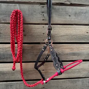 Red Honeycomb Tooled Lariat & Leather Combo Halter