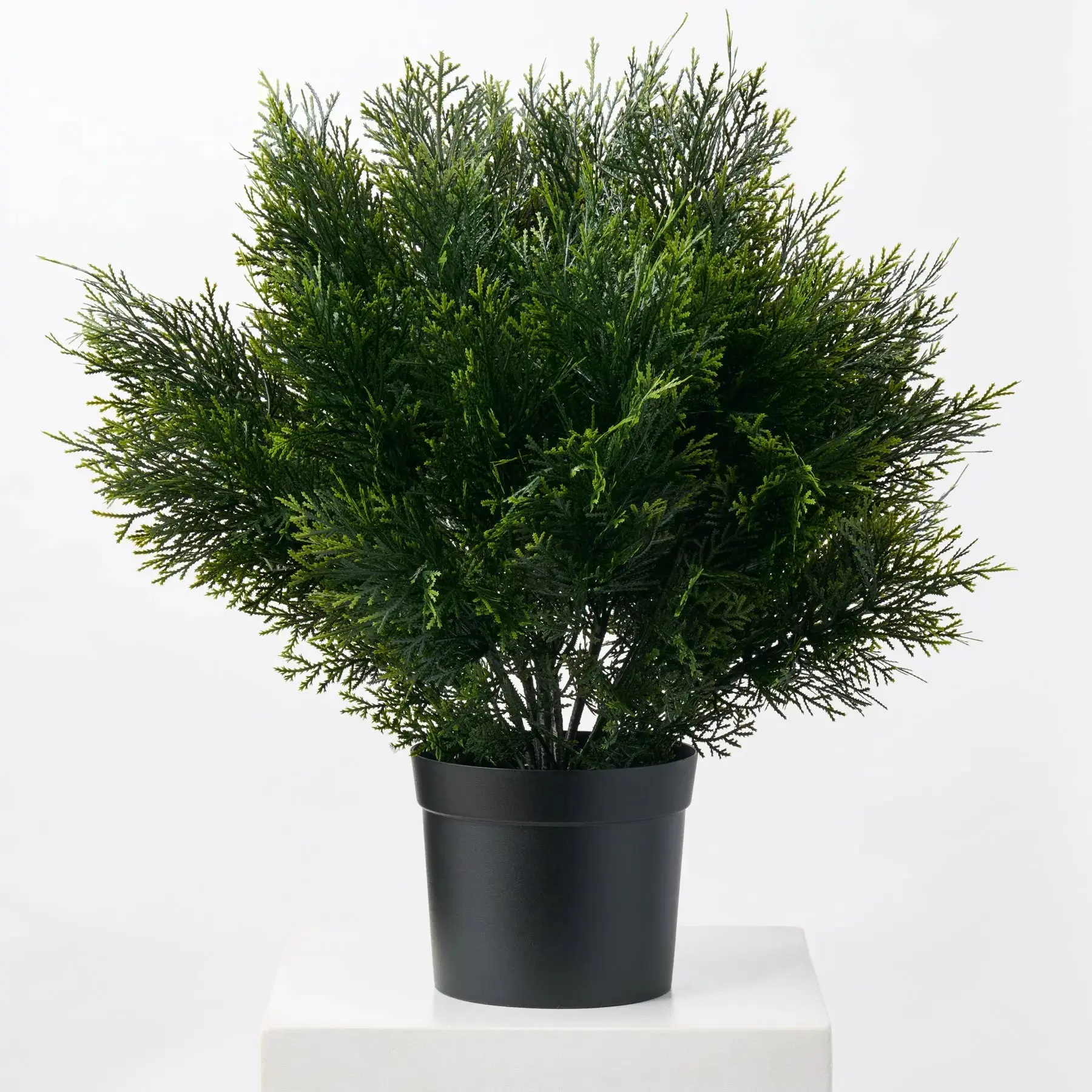 Outdoor UV Protected Winter Urn Filler Potted Cedar Bush Greenery Arrangement