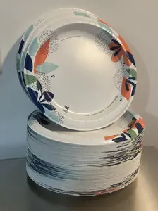 150 Count Large Paper Plates, 10 Inch, 2X Stronger* Disposable Plates For Everyday