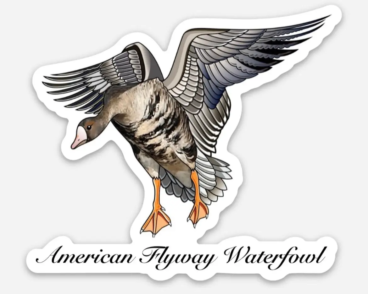 Specklebelly Car Sticker - Original Design, Unique Patterns, Colorful Details Art Decal, Adhesive Vinyl Decorative Stickers for American Flyway Waterfowl Enthusiasts
