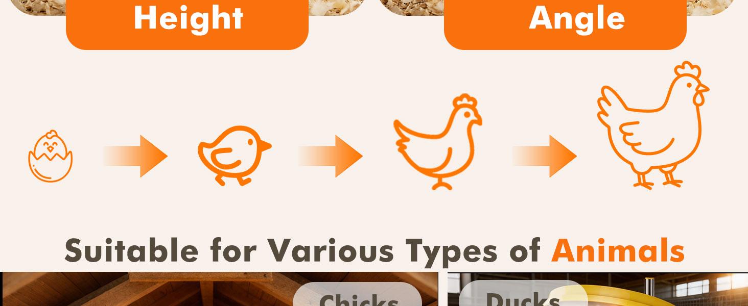 45W Adjustable Chick Brooder Heating Plate, Anti-Fire Energy-Saving Poultry Heater, Height & Angle Adjustable for Chicks Ducks Quail