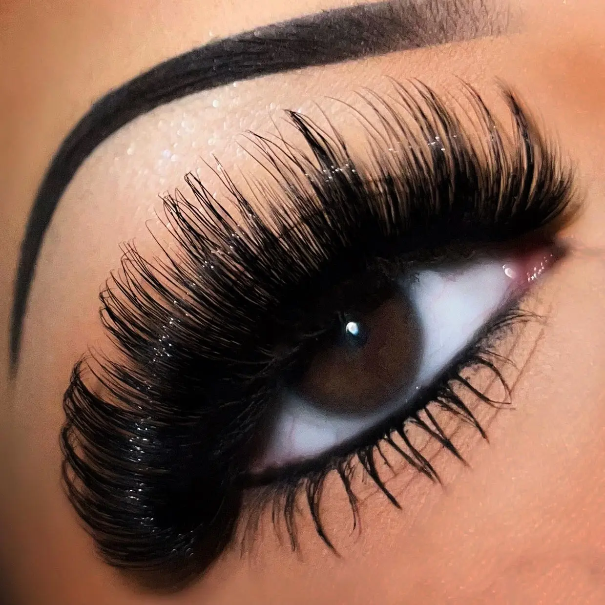 Exotic Strip Lashes