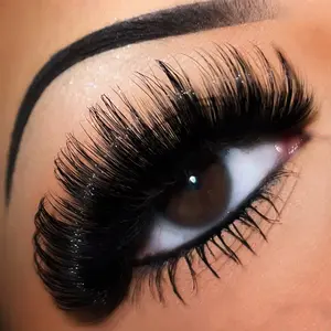 Exotic Strip Lashes